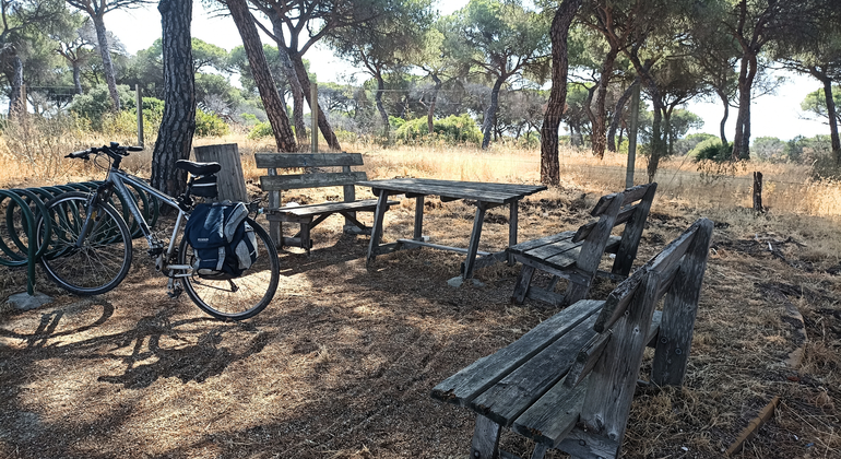 huelva-bike-tour-boat-ride-en-4