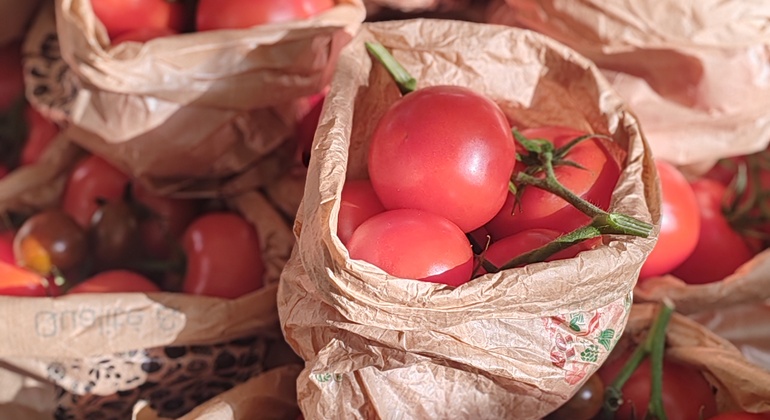 Visita al mercado de agricultores por la mañana Francia &mdash; #12