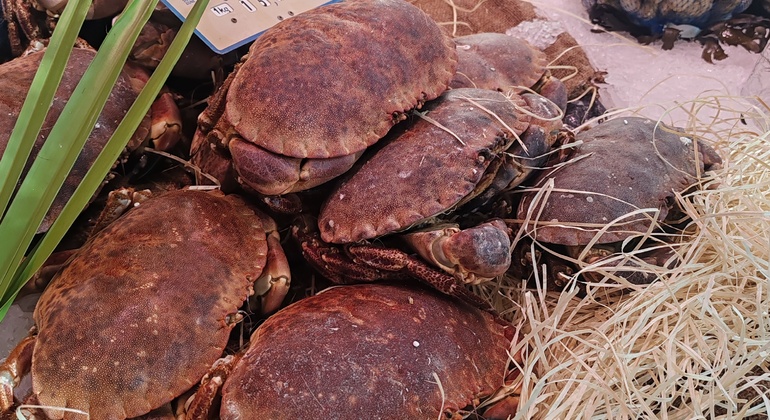 Visita al mercado de agricultores por la mañana Francia &mdash; #20