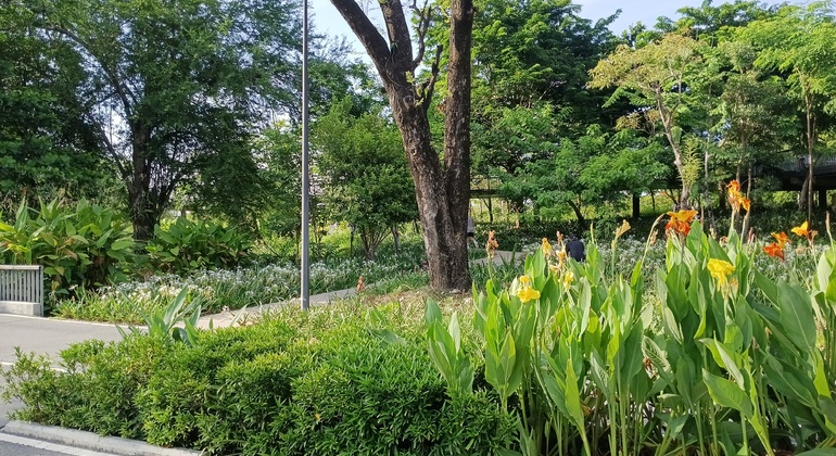 Passeggiata al tramonto a Bangkok: il lato verde e vivace di Asok e Sukhumvit Tailandia &mdash; #34