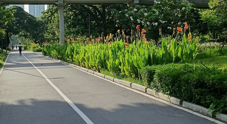 Passeggiata al tramonto a Bangkok: il lato verde e vivace di Asok e Sukhumvit Tailandia &mdash; #36