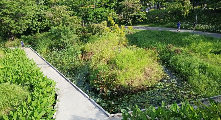 Passeggiata al tramonto a Bangkok: il lato verde e vivace di Asok e Sukhumvit Tailandia &mdash; #37