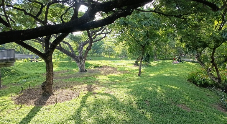 Passeggiata al tramonto a Bangkok: il lato verde e vivace di Asok e Sukhumvit Tailandia &mdash; #39
