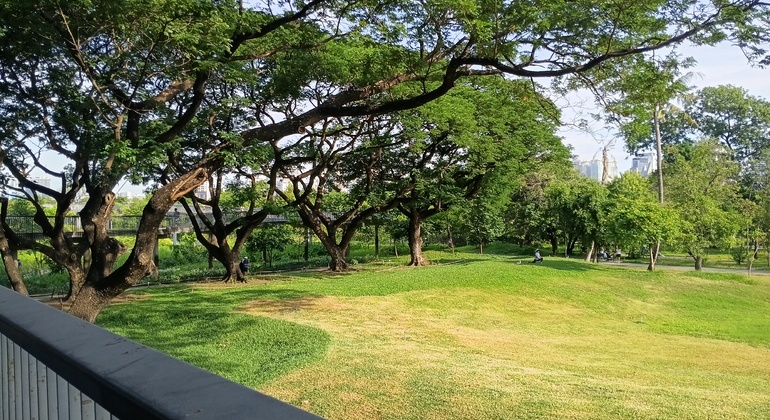 Passeggiata al tramonto a Bangkok: il lato verde e vivace di Asok e Sukhumvit Tailandia &mdash; #50