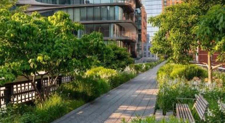 Tour gratuito della High Line, di Hudson Yards e del Chelsea Market Stati Uniti &mdash; #2