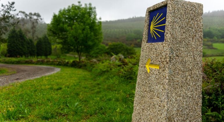 Tour gratuito del pellegrino: gli ultimi chilometri del Cammino Fornito da Tour Galicia