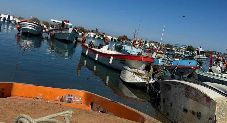 Fuseta Free Tour: The Secrets of the Village and the Estuary