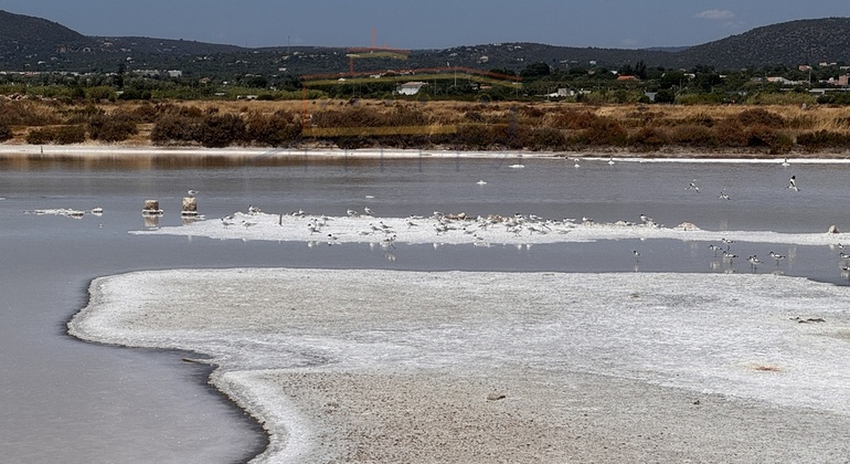 fuseta-free-tour-the-secrets-of-the-village-and-the-estuary-es-3