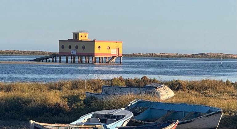fuseta-free-tour-the-secrets-of-the-village-and-the-estuary-en-8