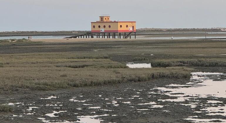 fuseta-free-tour-the-secrets-of-the-village-and-the-estuary-en-12