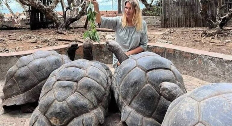 Prison Island & Nakupenda Sandbank Tour Tanzania &mdash; #2