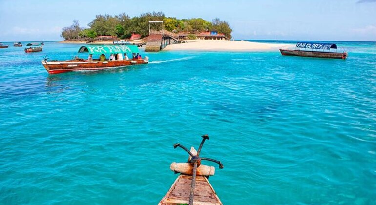 Prison Island & Nakupenda Sandbank Tour Tanzania &mdash; #7