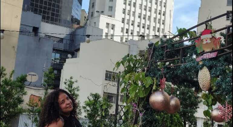 Free Tour of São Paulo's Historic Center Brazil &mdash; #14