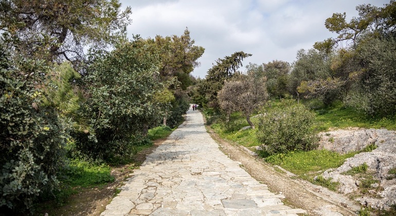 Different Side of Athens: Hills-Nature & Local Life with Furry Pal Greece &mdash; #4