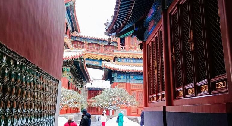 Tour ad anello di Pechino: Tempio dei Lama, Tempio di Confucio e Hutong di Wudaoying Fornito da Sonia