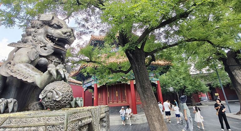 Visita guiada gratuita por Pekín: el Templo de los Lamas, el Templo de Confucio y el hutong de Wudaoying China &mdash; #4