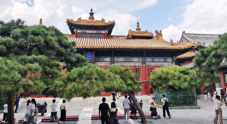 Visita guiada gratuita por Pekín: el Templo de los Lamas, el Templo de Confucio y el hutong de Wudaoying China &mdash; #5