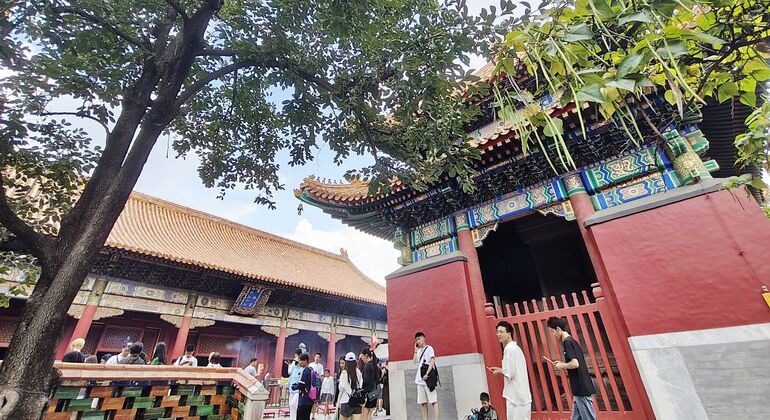 Visita guiada gratuita por Pekín: el Templo de los Lamas, el Templo de Confucio y el hutong de Wudaoying China &mdash; #7