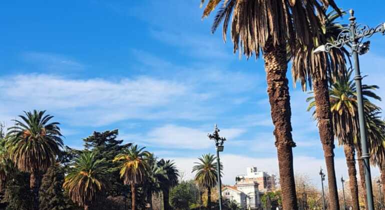 Tour del Parco Generale San Martín: natura e storia Fornito da Turistear MDZ