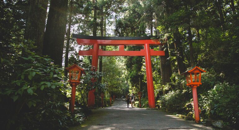 Mount Fuji & Hakone: Private Chauffered Day Tour from Tokyo Japan &mdash; #2