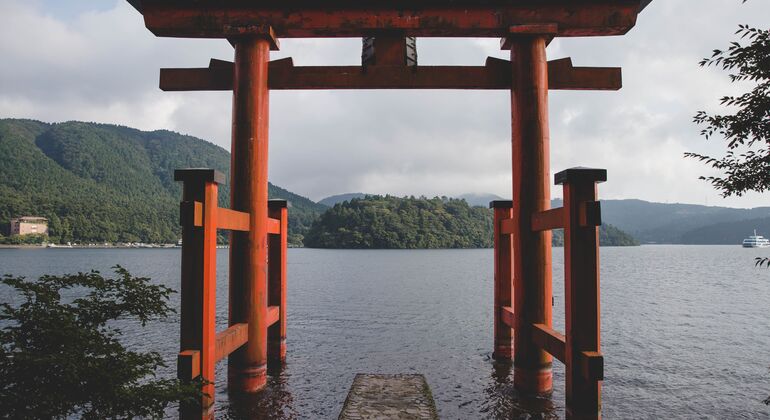 Mount Fuji & Hakone: Private Chauffered Day Tour from Tokyo Japan &mdash; #4