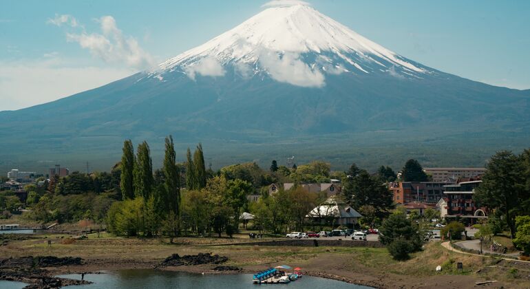 Mount Fuji & Hakone: Private Chauffered Day Tour from Tokyo Japan &mdash; #5