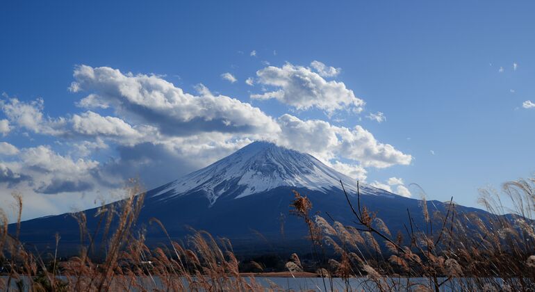 Mount Fuji & Hakone: Private Chauffered Day Tour from Tokyo Japan &mdash; #6
