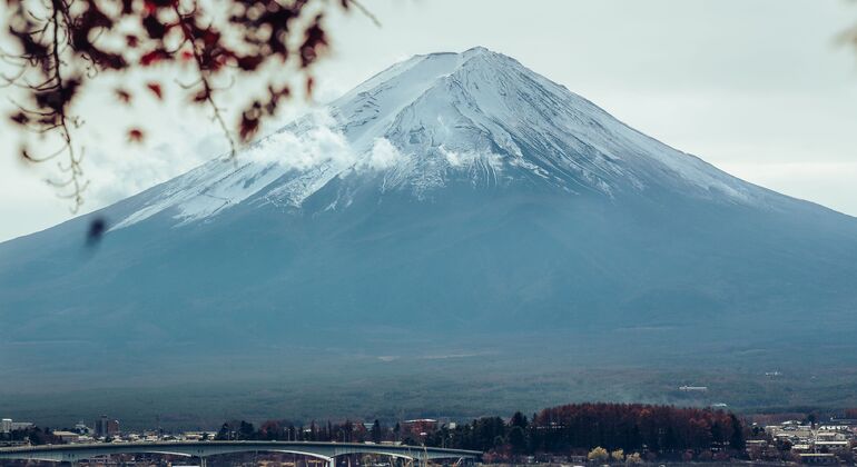 Mount Fuji & Hakone: Private Chauffered Day Tour from Tokyo Japan &mdash; #7