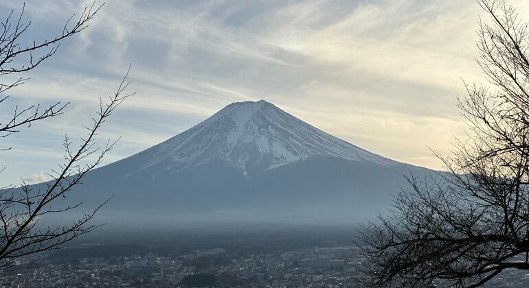 Mount Fuji & Hakone: Private Chauffered Day Tour from Tokyo Japan &mdash; #8