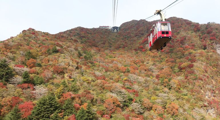 Mount Fuji & Hakone: Private Chauffered Day Tour from Tokyo Japan &mdash; #9
