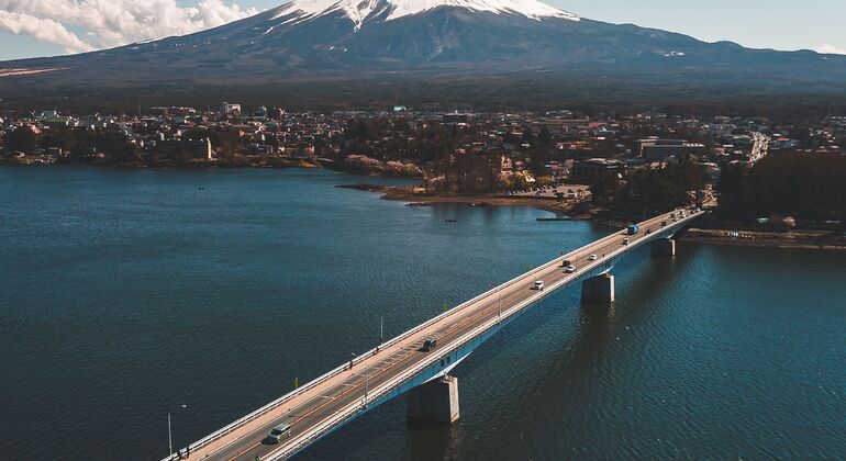 Mount Fuji & Hakone: Private Chauffered Day Tour from Tokyo Japan &mdash; #11