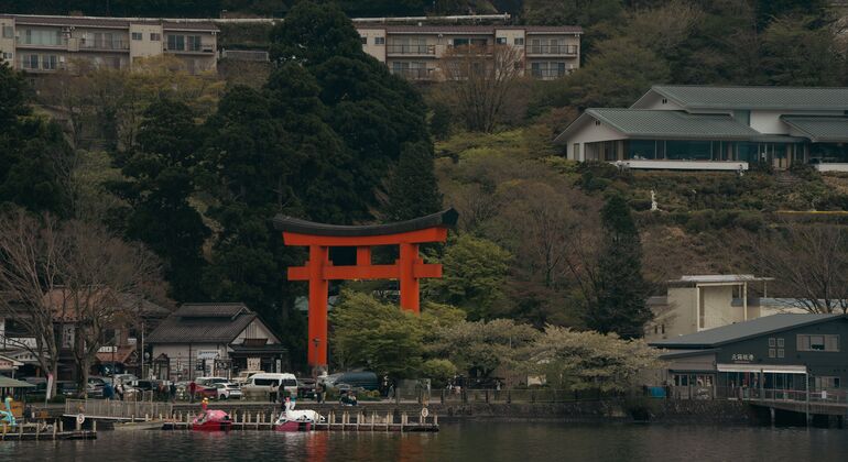 Mount Fuji & Hakone: Private Chauffered Day Tour from Tokyo Japan &mdash; #13