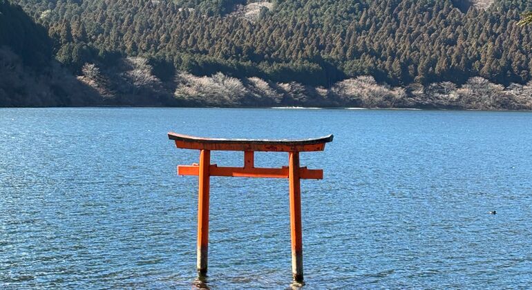 Mount Fuji & Hakone: Private Chauffered Day Tour from Tokyo Japan &mdash; #15