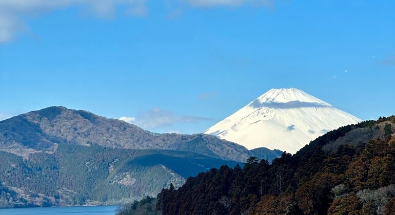 Mount Fuji & Hakone: Private Chauffered Day Tour from Tokyo Japan &mdash; #17