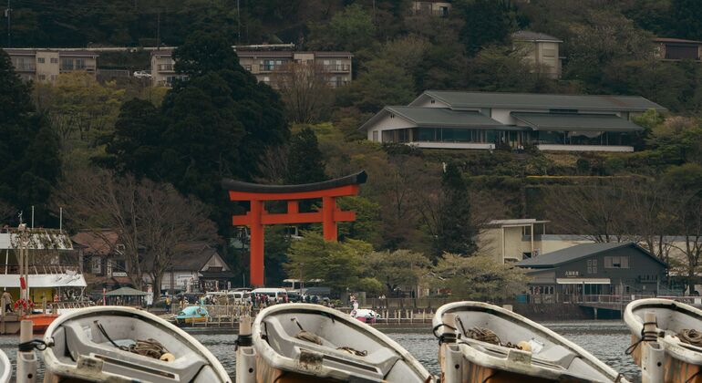 Mount Fuji & Hakone: Private Chauffered Day Tour from Tokyo Japan &mdash; #18