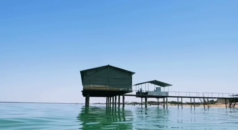 Tudakul Lake Private Day Trip from Bukhara Uzbekistan &mdash; #8