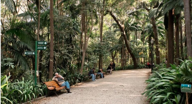 Paulista Avenue Walking Free Tour Brazil &mdash; #4
