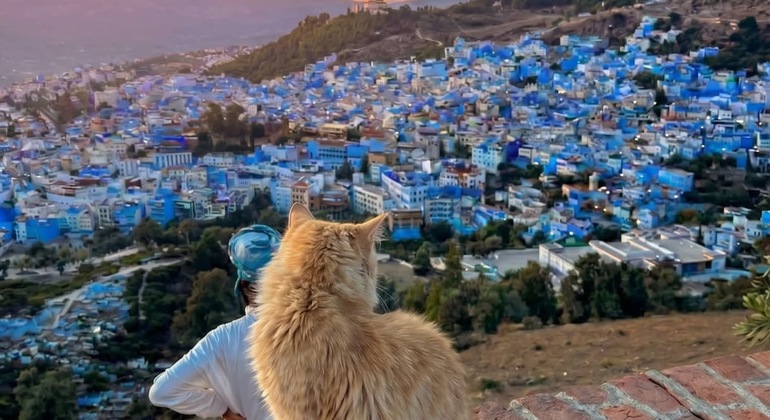 Explora Chefchaouen con un amigo de la zona Marruecos &mdash; #5