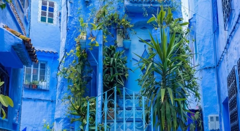 Explora Chefchaouen con un amigo de la zona Marruecos &mdash; #6