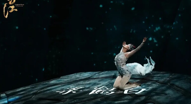 Chongqing The Grand Illusion Immersive Acrobatic Spectacle China &mdash; #5