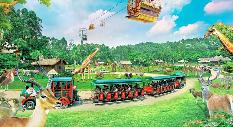 Guangzhou Chimelong: Safari-Park China &mdash; #3