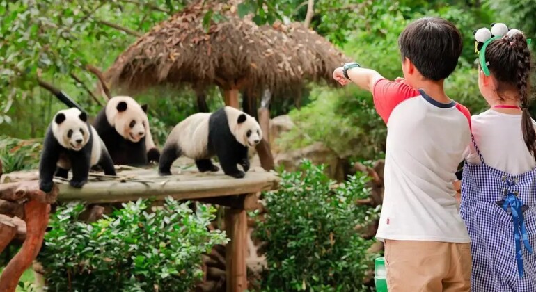 Guangzhou Chimelong: Safari-Park China &mdash; #4