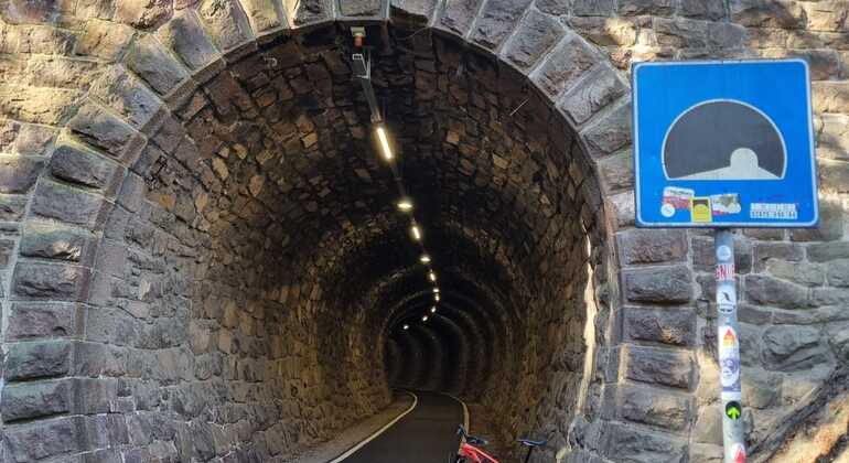 Bolzano: Vineyards & Lakes MTB or E-Bike Tour  Provided by Andres Avendano