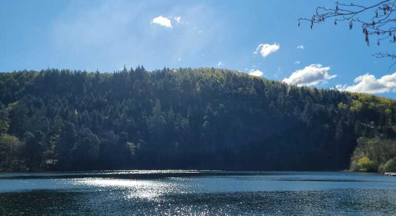 bolzano-vineyards-lakes-mtb-or-e-bike-tour-en-1