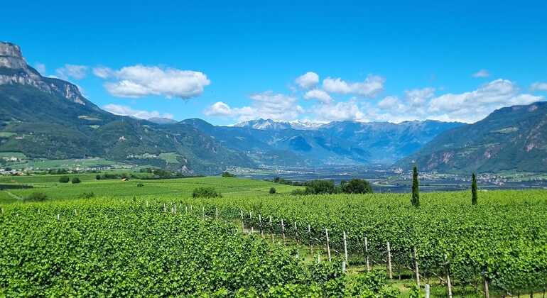 bolzano-vineyards-lakes-mtb-or-e-bike-tour-en-2