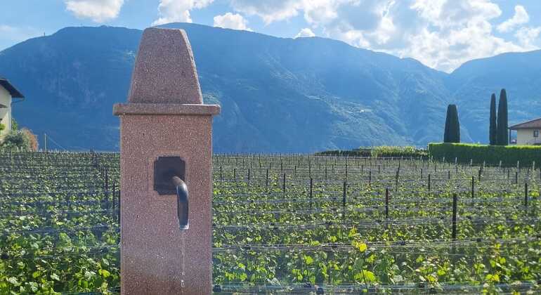 bolzano-vineyards-lakes-mtb-or-e-bike-tour-en-3