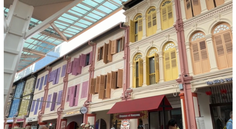 Chinatown al descubierto: historias, cultura y secretos poco conocidos Singapur &mdash; #2