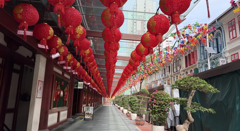 Chinatown al descubierto: historias, cultura y secretos poco conocidos Singapur &mdash; #9