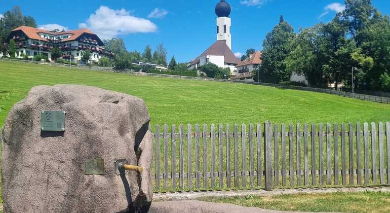 Bolzano: MTB or E-Bike Tour to Renon Earth Pyramids