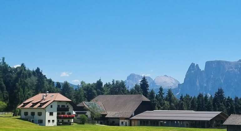 bolzano-mtb-or-e-bike-tour-to-renon-earth-pyramids-en-5